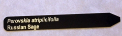 Engraved 6 x 1 inch metal stake